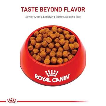 Royal Canin Maine Coon Breed Adult Dry Cat Food, 6 lb bag