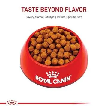 Royal Canin Maine Coon Breed Adult Dry Cat Food, 6 lb bag