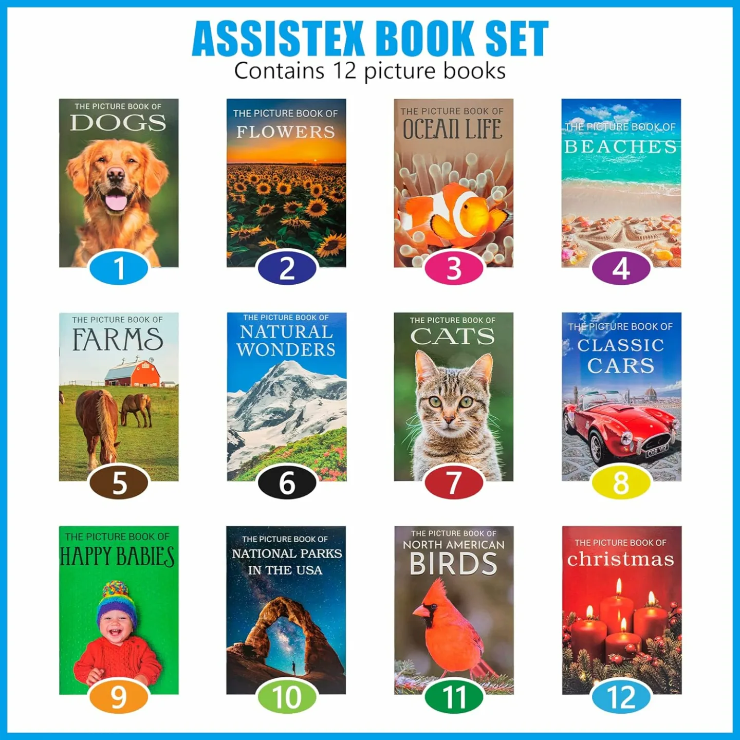 Assistex Picture Book Set for Seniors with Dementia