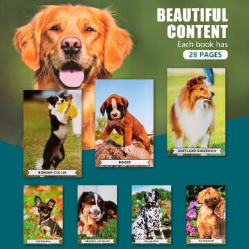 Assistex Picture Book Set for Seniors with Dementia