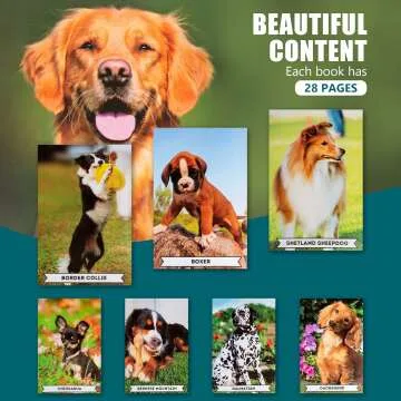 Assistex Picture Book Set for Seniors with Dementia