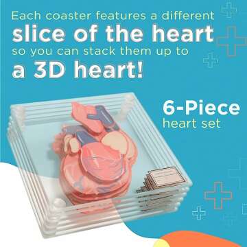 Heart and Brain Coaster Set for Every Home