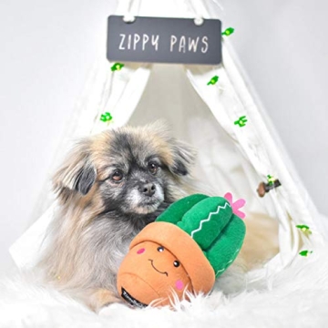 Buy Fun Dog Toy for Active Days of Fetch and Play