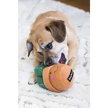 Buy Fun Dog Toy for Active Days of Fetch and Play