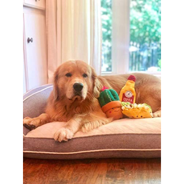 Buy Fun Dog Toy for Active Days of Fetch and Play
