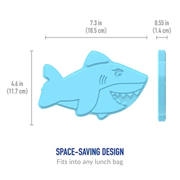 Bentgo Buddies Reusable Ice Packs for Kids' Lunchboxes