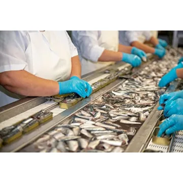 Matiz Seafood Variety Pack Sampler | 10 Unique Cans