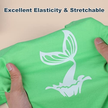 CAREGY 12" x 25ft Heat Transfer Vinyl for Crafts