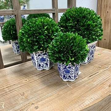 Galt Intl. 11" Preserved Boxwood Ball Topiary Planter