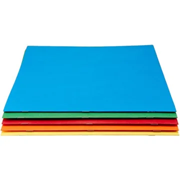 Amazon Basics Twin Pocket File Folders Assorted Colors Pack