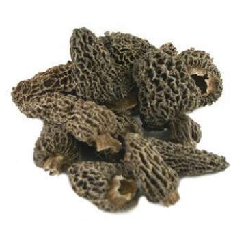 Dried Morel Mushroom, Premium Italian Gourmet Mushrooms - 2 oz
