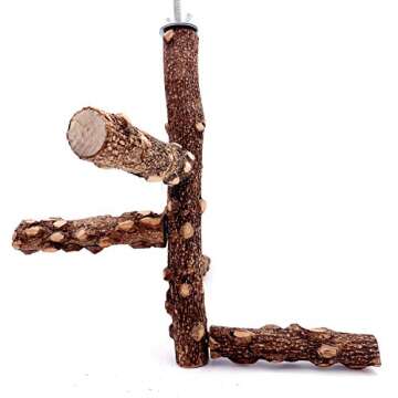 Borangs Bird Perch Natura Wood Stand Toy Branch for 3-4pcs Small Medium Parrots Cages Toy S