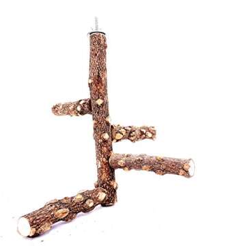 Borangs Bird Perch Natura Wood Stand Toy Branch for 3-4pcs Small Medium Parrots Cages Toy S