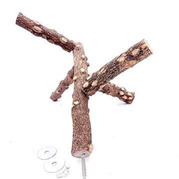 Borangs Bird Perch Natura Wood Stand Toy Branch for 3-4pcs Small Medium Parrots Cages Toy S