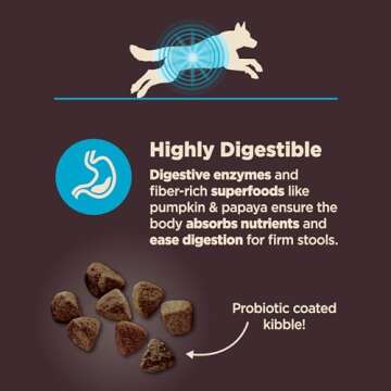 Wellness CORE Digestive Health Dry Dog Food, Wholesome Grains, Natural, Ingredients for Dogs with Sensitive Stomachs, Whitefish & Brown Rice Recipe, (22-Pound Bag)