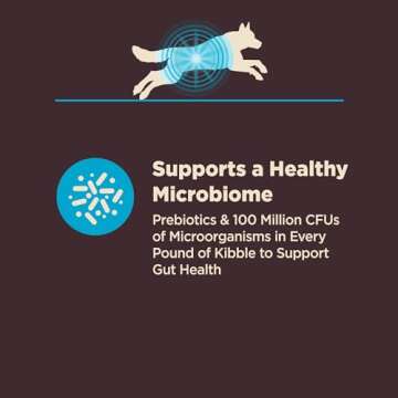 Wellness CORE Digestive Health Dry Dog Food, Wholesome Grains, Natural, Ingredients for Dogs with Sensitive Stomachs, Whitefish & Brown Rice Recipe, (22-Pound Bag)