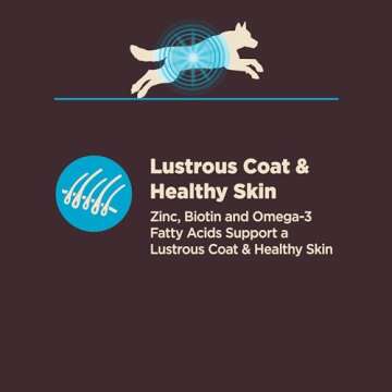 Wellness CORE Digestive Health Dry Dog Food, Wholesome Grains, Natural, Ingredients for Dogs with Sensitive Stomachs, Whitefish & Brown Rice Recipe, (22-Pound Bag)