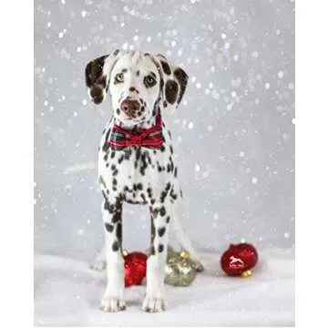 Unique style paws Christmas Dog and Cat Collar with Bow Pet Gift Adjustable Soft and Comfy Bowtie Collars for Small Medium Large Dogs