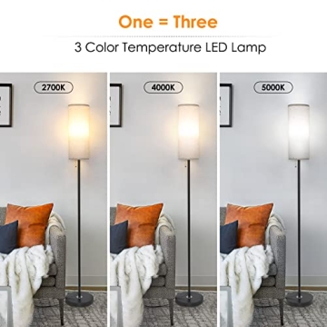 Coucrek Modern LED Floor Lamp with 3 Color Temperatures