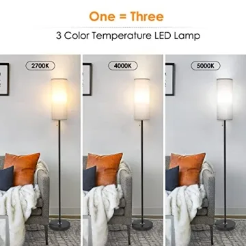 Coucrek Modern LED Floor Lamp with 3 Color Temperatures