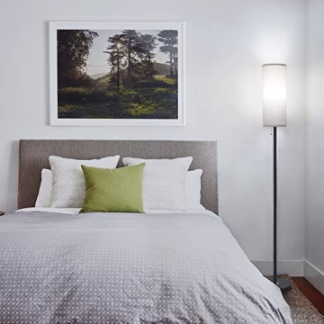 Coucrek Modern LED Floor Lamp with 3 Color Temperatures