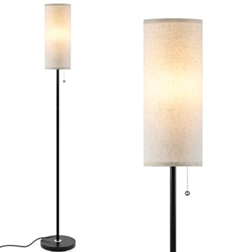 Coucrek Modern LED Floor Lamp with 3 Color Temperatures