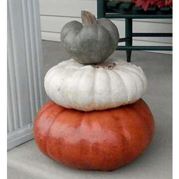 Stackable Pumpkins Set of 3, Artificial Halloween Stone Pumpkin & Cinderella Jacko'lantern Artificial Gourd Indoor and Outdoor Decor
