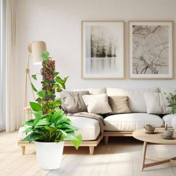 6 Pcs 24 Inch Plastic Moss Pole for Plants Monstera,6×24'' Plant Poles for Climbing Plants, Indoor ...