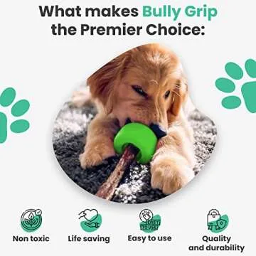Bully Stick Holder for Dogs - Small Size - Interactive Dog Toy, Dog Treat Holder, Slow Feeder, Treat Dispenser, Chew Toy and Dog Safety Device