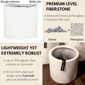 Fox & Fern Lightweight 8 Inch Plant Pot for Indoor & Outdoor Use