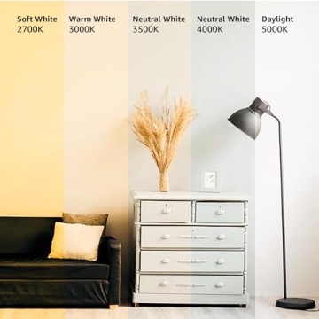 Energy Efficient A19 LED Light Bulbs for Home Use