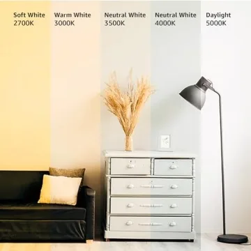 Energy Efficient A19 LED Light Bulbs for Home Use