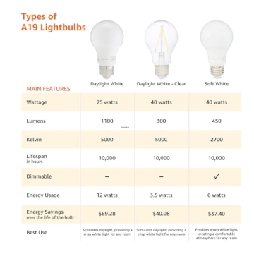 Energy Efficient A19 LED Light Bulbs for Home Use