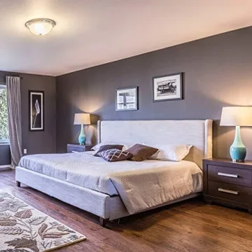 Energy Efficient A19 LED Light Bulbs for Home Use