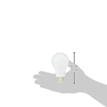 Energy Efficient A19 LED Light Bulbs for Home Use