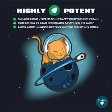 OurPet's Premium Catnip - 1.25 oz Jar of High Potency Catnip - 100% North American Grown