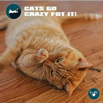 OurPet's Premium Catnip - 1.25 oz Jar of High Potency Catnip - 100% North American Grown