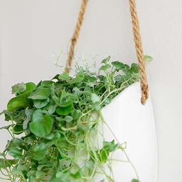 Kazai. Wall Planters -Ellie- | Hanging Ceramic Plant Pots 2 Pieces | Wall Decoration for Indoors, Balcony and Garden | White (Matte)