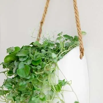 Kazai. Wall Planters -Ellie- | Hanging Ceramic Plant Pots 2 Pieces | Wall Decoration for Indoors, Balcony and Garden | White (Matte)