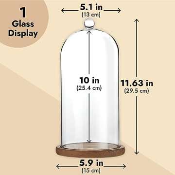 Farmlyn Creek Glass Cloche Dome Bell Jar Display Case with Wooden Base for Plants, Collectibles (5.1x10 in)