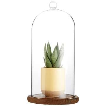 Farmlyn Creek Glass Cloche Dome Bell Jar Display Case with Wooden Base for Plants, Collectibles (5.1x10 in)