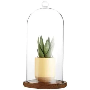 Farmlyn Creek Glass Cloche Dome Bell Jar Display Case with Wooden Base for Plants, Collectibles (5.1x10 in)