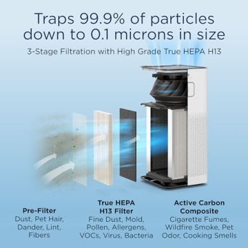 Medify MA-50 Air Purifier with True HEPA Filter for Smoke and Odors