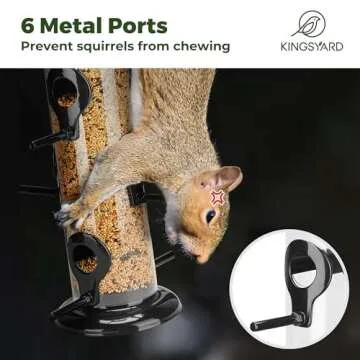 Kingsyard Durable Metal Bird Feeder - Attract More Birds