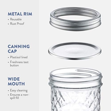 Paksh Novelty 12-Pack Wide Mouth Mason Jars for Canning