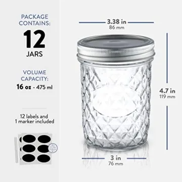 Paksh Novelty 12-Pack Wide Mouth Mason Jars for Canning