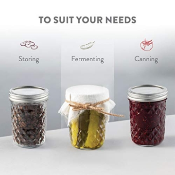 Paksh Novelty 12-Pack Wide Mouth Mason Jars for Canning