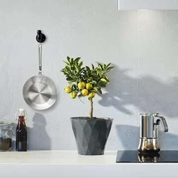 Home TZH Bathroom Towel Hooks for Hanging 3 Pack Vintage Industrial Pipe Towel Holder Black Wall Mounted Heavy Duty Hook Decorative for Farmhouse Kitchen (3, Black)