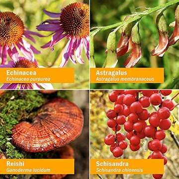 Daily Immune Builder Herbal Extract for All Ages