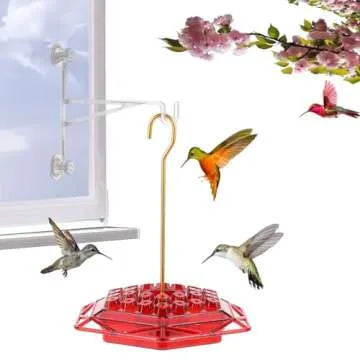 Hummingbird Feeder with Built-in Ant Moat for Easy Outdoor Hanging